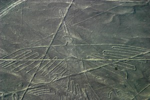 pasarea colibri Nazca