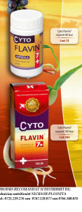 cyto flavin7+