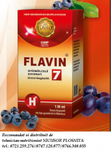 flavin 7 H