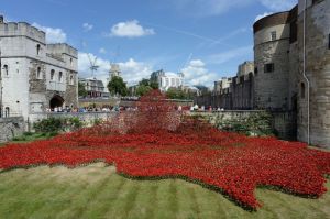Poppies-at-Tower-of-London