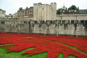 Tower_of_London_poppies_0574