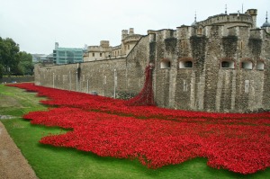 Tower_of_London_poppies_0581