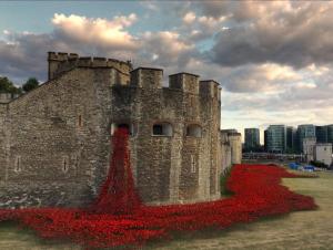 tower-of-london-ww1-blood-poppies-01